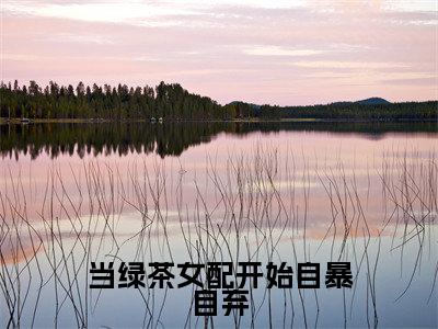 当绿茶女配开始自暴自弃（柳萋寻季安小说）全文免费阅读无弹窗大结局_柳萋寻季安小说免费阅读-笔趣阁