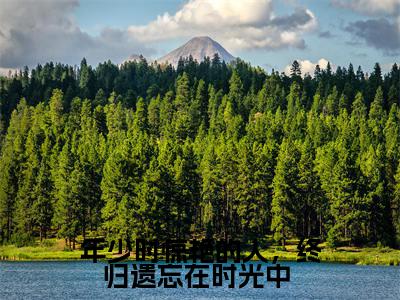年少时惊艳的人,终归遗忘在时光中 (徐念棠宋淮昱)免费阅读-小说(年少时惊艳的人,终归遗忘在时光中 )徐念棠宋淮昱全文阅读