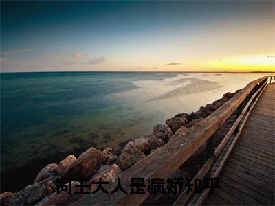 饲主大人是病娇（ 苏九顾修）全文免费阅读无弹窗大结局_(饲主大人是病娇)免费阅读无弹窗最新章节列表_笔趣阁（ 苏九顾修）