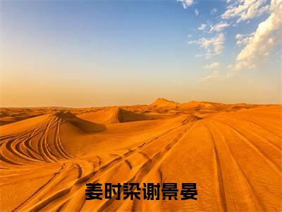 谢景晏姜时染（姜时染谢景晏）全文免费阅读无弹窗大结局_姜时染谢景晏_笔趣阁