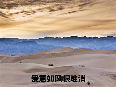 舒安冉季云枫小说爱意如风恨难消最新章节阅读-最新热点小说舒安冉季云枫