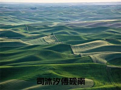 主角是傅砚南司沐汐的小说叫什么名字 司沐汐傅砚南精彩结局阅读