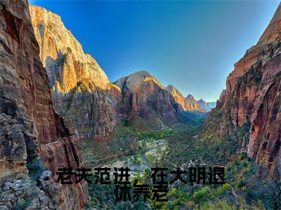 老夫范进，在大明退休养老（范进）免费最新小说_范进（老夫范进，在大明退休养老）免费版今日已更新