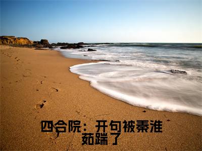 四合院:开句被秦淮茹踹了热门榜单小说 秦康完本小说无弹窗免费阅读