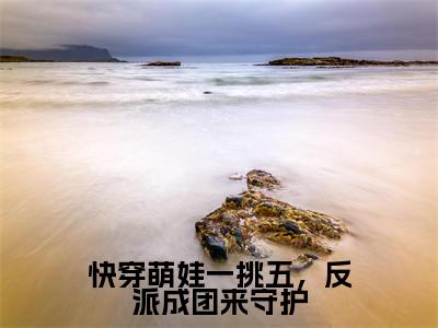 主角为何时月的小说-快穿萌娃一挑五,反派成团来守护(何时月)全文最新完整版阅读