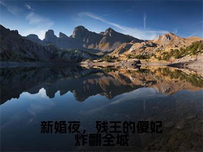 新婚夜,残王的傻妃炸翻全城全网首发最新小说,主角凌曦曦牧九歌全文在线免费阅读