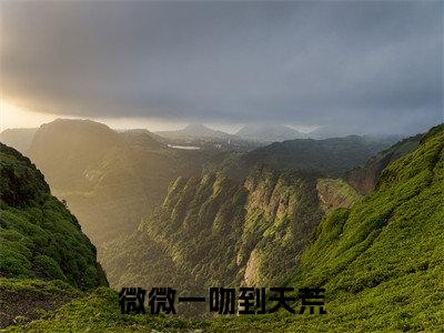 微微一吻到天荒(苏微微)全文免费阅读无弹窗大结局-微微一吻到天荒免费阅读全文大结局-笔趣阁