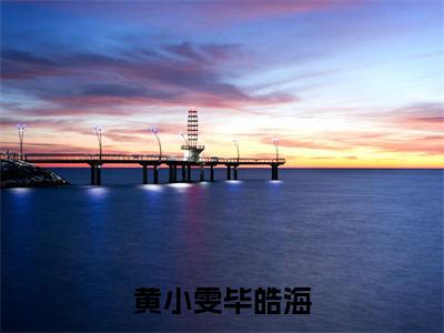 黄小雯毕皓海(毕皓海黄小雯)经典小说全文免费阅读无弹窗_(毕皓海黄小雯)小说全文免费阅读最新章节_笔趣阁