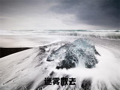 迷雾散去全文免费在线阅读_（林雨棠冷宴武全文免费阅读无弹窗大结局）迷雾散去最新章节列表笔趣阁