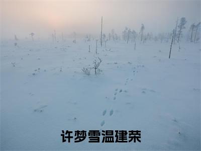 许梦雪温建荣(温建荣许梦雪小说)全文免费阅读无弹窗大结局_温建荣许梦雪小说免费阅读最新章节列表_笔趣阁(许梦雪温建荣小说)
