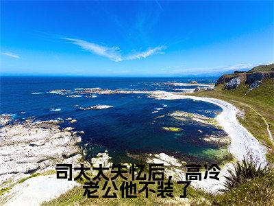 司太太失忆后,高冷老公他不装了(司彦北程心荞)全文免费阅读无弹窗大结局_司太太失忆后,高冷老公他不装了在线阅读笔趣阁(司彦北程心荞)