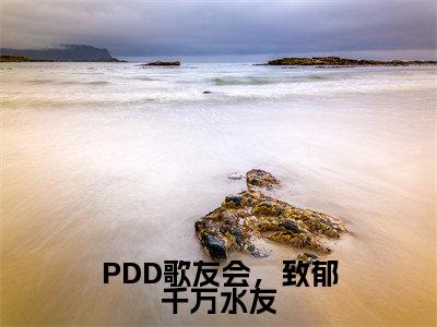 PDD歌友会，致郁千万水友（白辰）小说全文免费阅读正版无弹窗_（白辰）最新章节列表笔趣阁