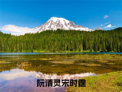 宋时霆阮清灵(阮清灵宋时霆)全文免费阅读无弹窗大结局_宋时霆阮清灵(阮清灵宋时霆小说免费阅读)_笔趣阁