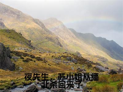 苏清婉夜寻（夜先生，苏小姐从缅北杀回来了）全文免费阅读_夜先生，苏小姐从缅北杀回来了最新章节小说免费阅读_笔趣阁苏清婉夜寻
