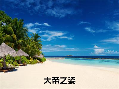 大帝之姿小说全文免费阅读( 苏寒云儿)全文免费阅读无弹窗大结局_ 大帝之姿最新章节列表_笔趣阁（ 苏寒云儿小说）