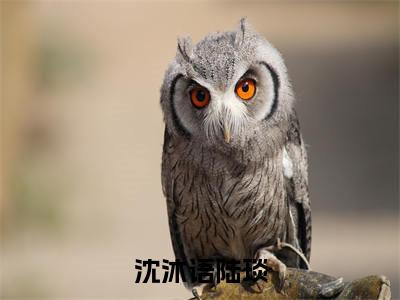 陆琰沈沐语（沈沐语陆琰小说）全文免费阅读无弹窗大结局_沈沐语陆琰全文免费阅读（陆琰沈沐语小说）最新章节列表_笔趣阁（沈沐语陆琰）
