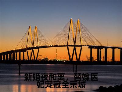 新婚夜和离,替嫁医妃宠冠全京城全文免费阅读_(沐云姝容九思免费阅读无弹窗)新婚夜和离,替嫁医妃宠冠全京城最新章节列表笔趣阁(沐云姝容九思)