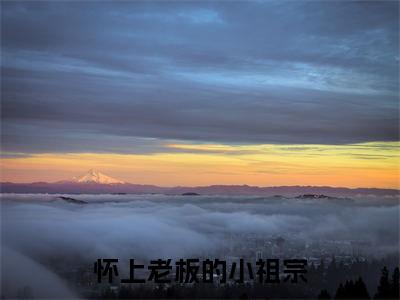 怀上老板的小祖宗全文免费阅读（安琪陆珺彦）全文免费阅读大结局_怀上老板的小祖宗全文免费阅读无弹窗_笔趣阁（安琪陆珺彦）