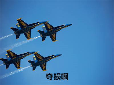 夺损啊，我给李世民看安史之乱朱元璋朱标试读全文（ 朱元璋朱标）免费阅读无弹窗大结局_夺损啊，我给李世民看安史之乱朱元璋朱标试读全文小说（ 朱元璋朱标）免费阅读最新章节列表（ 朱元璋朱标）