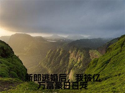新郎逃婚后，我被亿万富豪日日宠(莫辰林冬羽)小说精彩免费内容_新郎逃婚后，我被亿万富豪日日宠（莫辰林冬羽）最新章节全文阅读大结局（新郎逃婚后，我被亿万富豪日日宠）