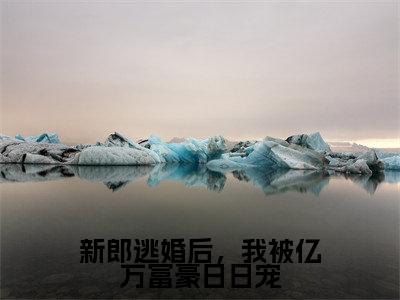新郎逃婚后,我被亿万富豪日日宠(莫辰林冬羽)小说全文无删减版_新郎逃婚后,我被亿万富豪日日宠最新章节列表_笔趣阁(莫辰林冬羽)