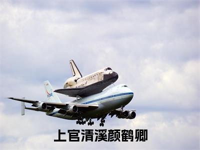 上官清溪颜鹤卿（颜鹤卿上官清溪）全文免费阅读无弹窗大结局_（上官清溪颜鹤卿）颜鹤卿上官清溪最新章节列表_笔趣阁