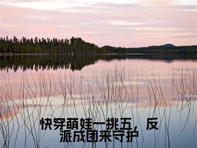 快穿萌娃一挑五，反派成团来守护(何时月)全文免费读无弹窗大结局_何时月免费小说快穿萌娃一挑五，反派成团来守护读无弹窗最新章节列表_笔趣阁（何时月）