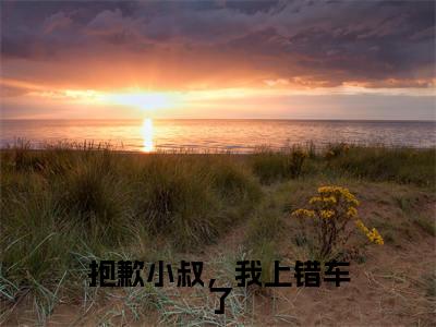 抱歉小叔，我上错车了小说最新章节（贺宴苏姜非晚）全文免费阅读无弹窗大结局_贺宴苏姜非晚免费阅读（抱歉小叔，我上错车了小说）
