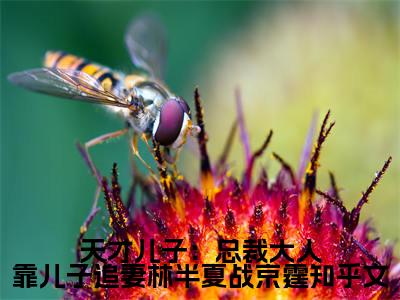 天才儿子：总裁大人靠儿子追妻林半夏战京霆（ 林半夏战京霆）小说多人阅读-小说 林半夏战京霆在哪里看免费