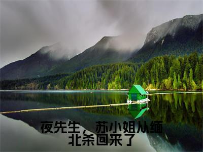 苏清婉夜寻（夜先生，苏小姐从缅北杀回来了）全文免费阅读无弹窗大结局_苏清婉夜寻免费最新章节列表_笔趣阁