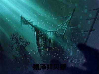 贝慈魏泽如(魏泽如贝慈)高质量小说推荐阅读-最新小说魏泽如贝慈全文阅读