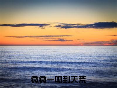 微微一吻到天荒小说全文-微微一吻到天荒（苏微微）最新章节免费阅读