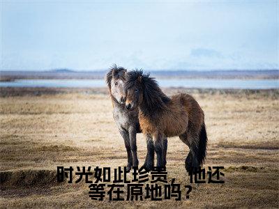 时光如此珍贵，他还等在原地吗？（乔睿夏小茉）小红书热荐小说-时光如此珍贵，他还等在原地吗？女生爱看的小说全集资源