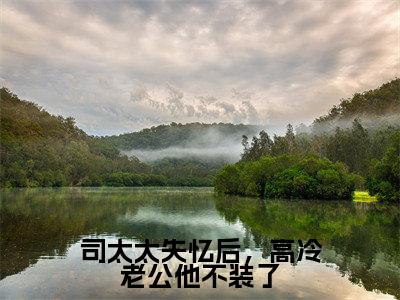 司彦北程心荞小说最后结局-司太太失忆后，高冷老公他不装了完结版免费阅读