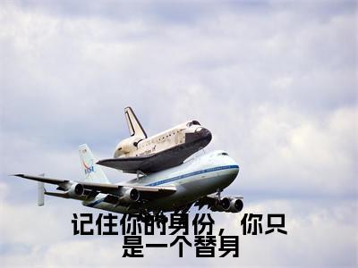 舒虞霍闻檀的小说免费阅读（记住你的身份，你只是一个替身的小说免费阅读）全文完整版免费阅读-记住你的身份，你只是一个替身好书推荐