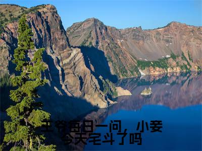王爷每日一问,小妾今天宅斗了吗全文免费阅读无弹窗大结局-江锦心小说在哪里可以看