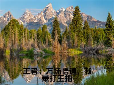 王者：万场悟道，我暴打主播(林曦后续)全文免费阅读无弹窗大结局_(林曦后续免费阅读全文大结局)最新章节列表_笔趣阁（王者：万场悟道，我暴打主播）