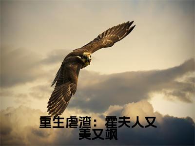 重生虐渣:霍夫人又美又飒小说全文免费阅读沈栀霍谨言免费完整版阅读