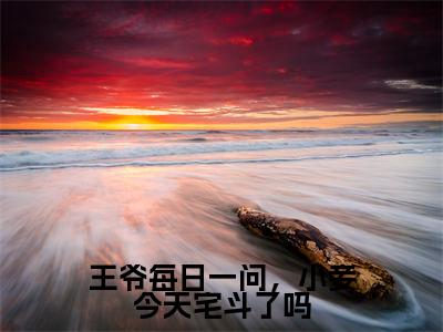 江锦心小说大结局全文免费阅读-抖音小说王爷每日一问，小妾今天宅斗了吗