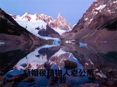 霍时深顾南娇（新婚夜植物人老公亲哭我）全文免费阅读无弹窗大结局_（霍时深顾南娇全文免费阅读无弹窗）新婚夜植物人老公亲哭我最新章节列表_笔趣阁（霍时深顾南娇）
