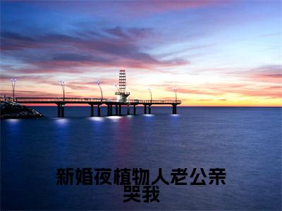 新婚夜植物人老公亲哭我正版小说最新章节在线阅读-小说霍时深顾南娇新婚夜植物人老公亲哭我已完结全集大结局