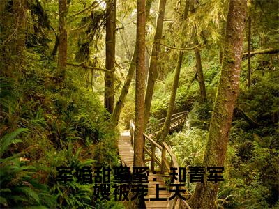 军婚甜蜜蜜:知青军嫂被宠上天全文免费阅读无弹窗-(沈安念秦正祁)军婚甜蜜蜜:知青军嫂被宠上天最新章节列表在线阅读