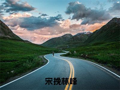 成为首富后，我为所欲为（ 宋挽林峰）全文免费阅读无弹窗-（成为首富后，我为所欲为） 宋挽林峰小说全文在线赏析