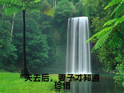 失去后,妻子才知道珍惜小说精彩章节今日阅读更新-(周梦蝶夏初阳小说)免费阅读小说全文
