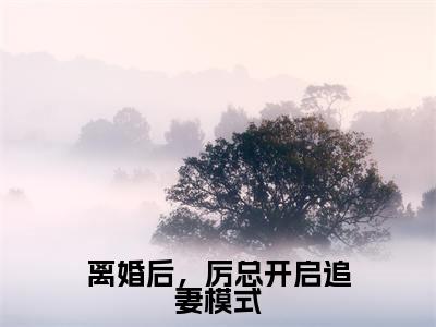 离婚后,厉总开启追妻模式抖音厉斯珩秦笙小说阅读完结版-小说厉斯珩秦笙全文免费阅读