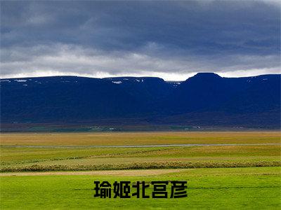 瑜姬北宫彦（北宫彦瑜姬）免费最新小说_北宫彦瑜姬（瑜姬北宫彦）免费版今日已更新