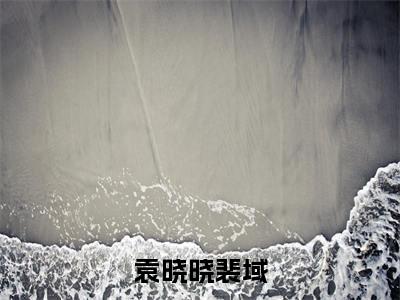 袁晓晓裴域在线阅读(裴域袁晓晓)全文免费阅读无弹窗大结局_裴域袁晓晓免费最新章节列表_笔趣阁