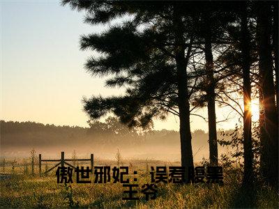 小说风惊落帝流夙（傲世邪妃：误惹腹黑王爷小说免费阅读）完结阅读，风惊落帝流夙在线阅读