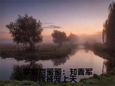 军婚甜蜜蜜：知青军嫂被宠上天（沈安念秦正祁）全文免费阅读无弹窗大结局_军婚甜蜜蜜：知青军嫂被宠上天（沈安念秦正祁免费小说）最新章节列表笔趣阁（沈安念秦正祁）
