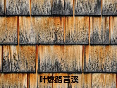 （叶燃路言溪）全文免费阅读无弹窗大结局_（路言溪叶燃阅读无弹窗）叶燃路言溪最新章节列表_笔趣阁
